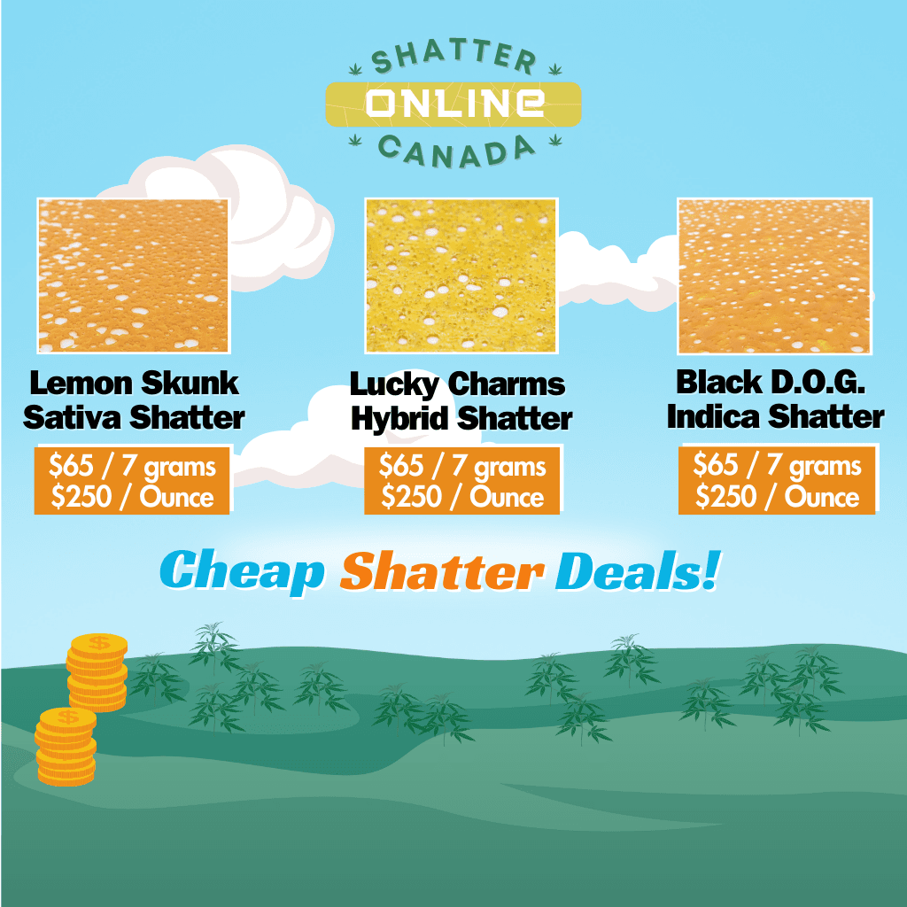 Premium BHO shatter from Shatter Online Canada