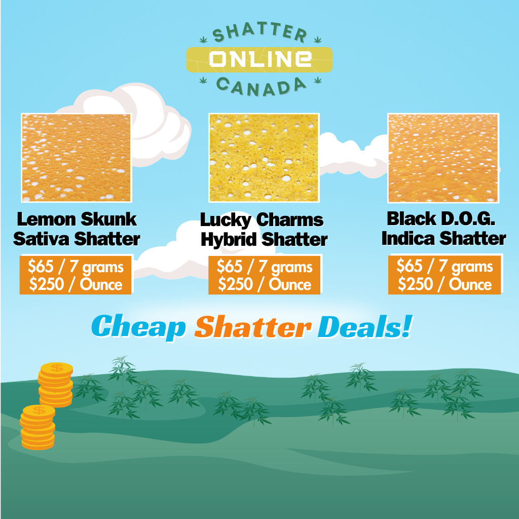 Buy Shatter Online Canada - Premium BHO Shatter